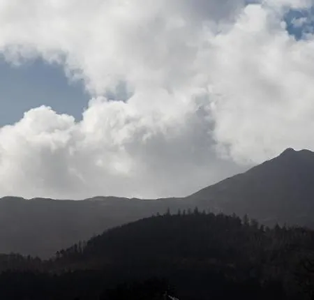 Apartment Loft Apartment,